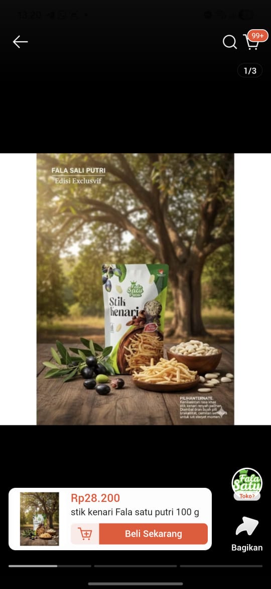 STIK KENARI FALA SATU PUTRI